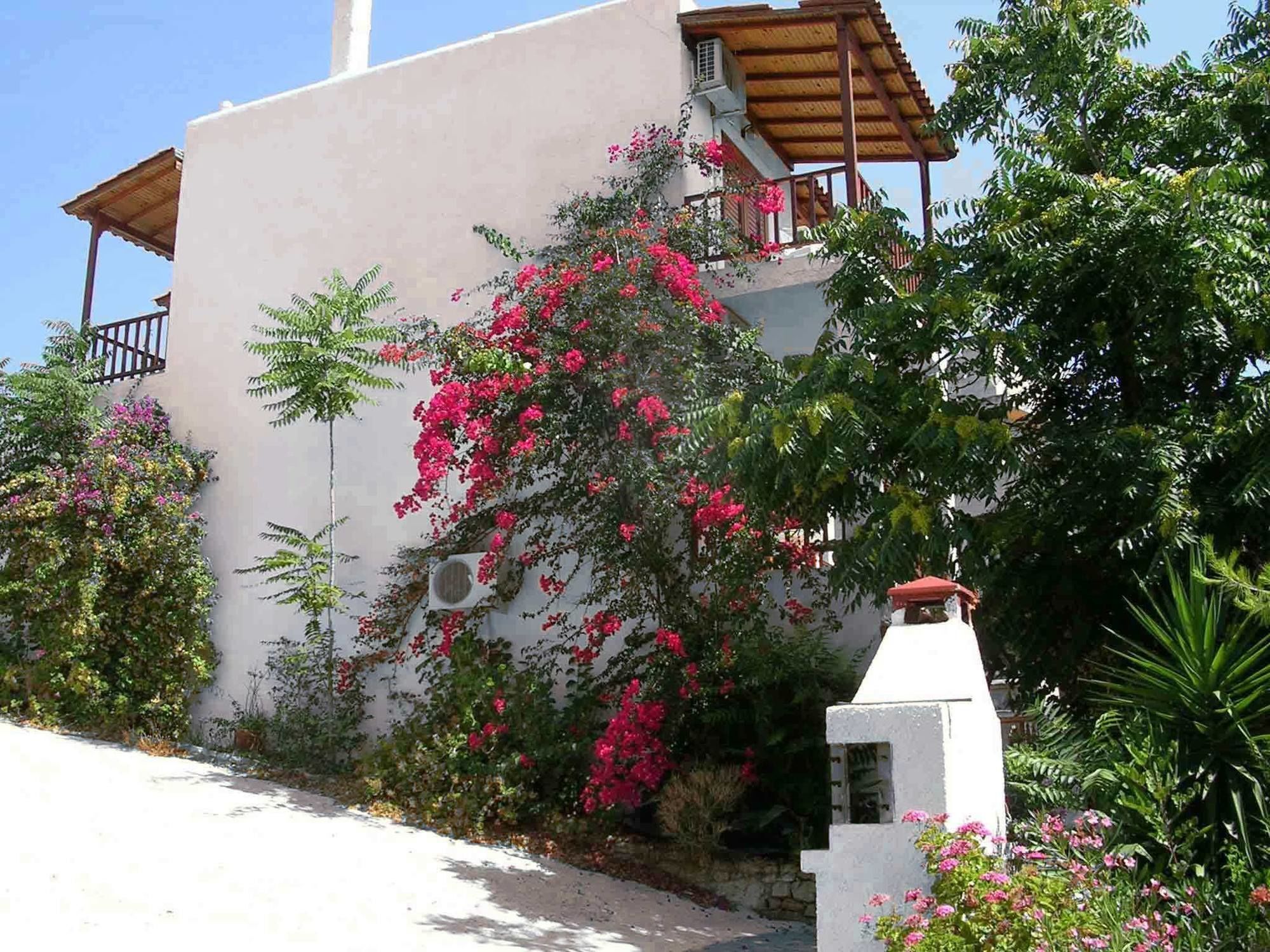123 Soleil Studios Agia Marina  Bagian luar foto